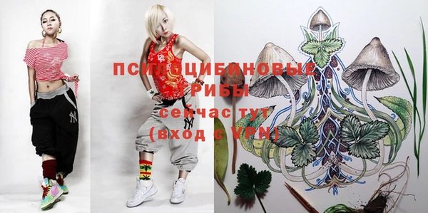 a pvp Вяземский
