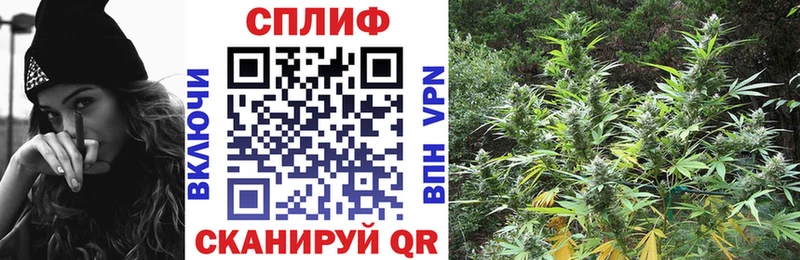 Купить где  Пикалёво  Конопля White Widow 